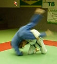 judotraining2.jpg